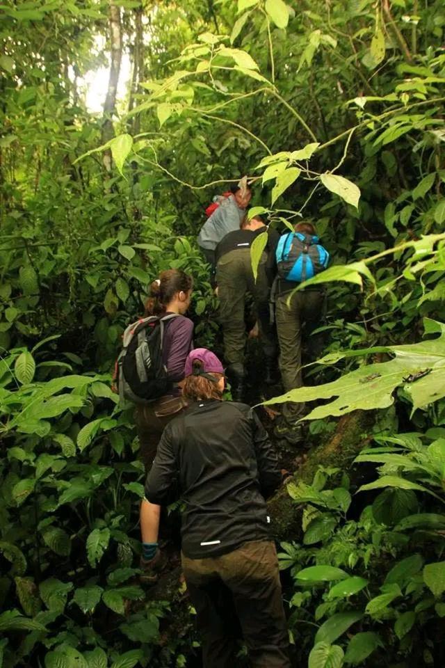 Thousand Hills Ketambe ,Room And Treking Lhokuenam エクステリア 写真